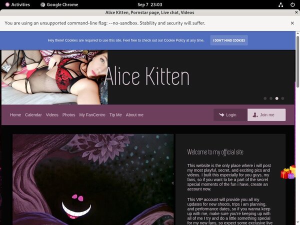 Alice Kitten Pay