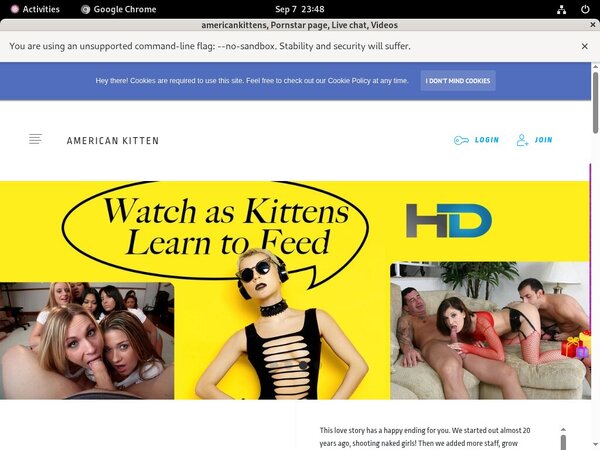 Americankittens Archive Americankittens Archive