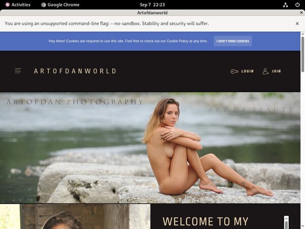 Artofdanworld.com Offer