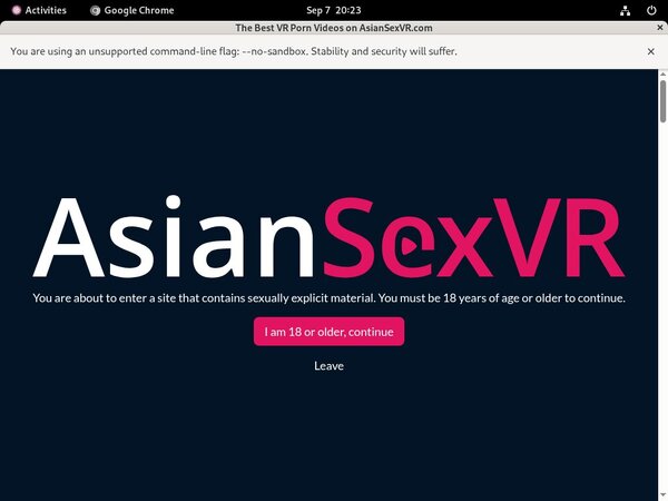 Asian VR Sex Free Entry