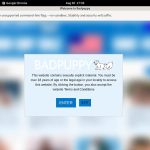 Bad Puppy Password Site