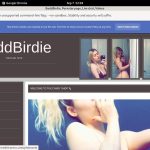 BaddBirdie Paypal Account