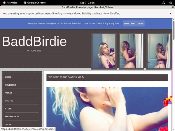 BaddBirdie Paypal Option