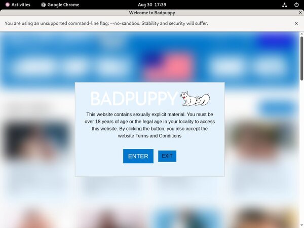 Badpuppy.com Sample