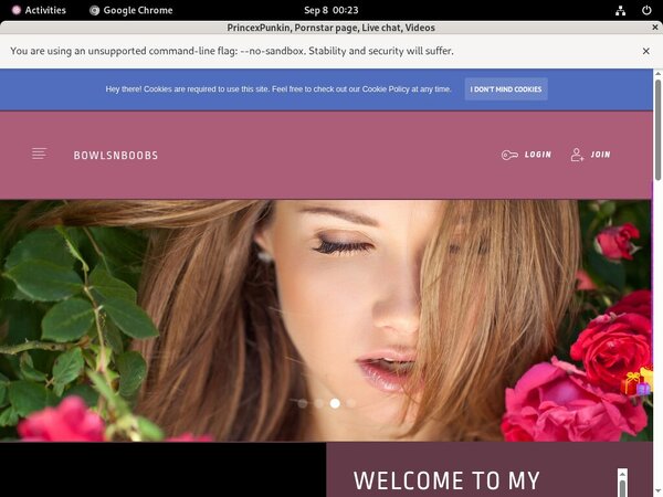Bowlsnboobs.modelcentro.com Accounts And Passwords