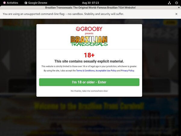 Brazilian Transsexuals Members Discount