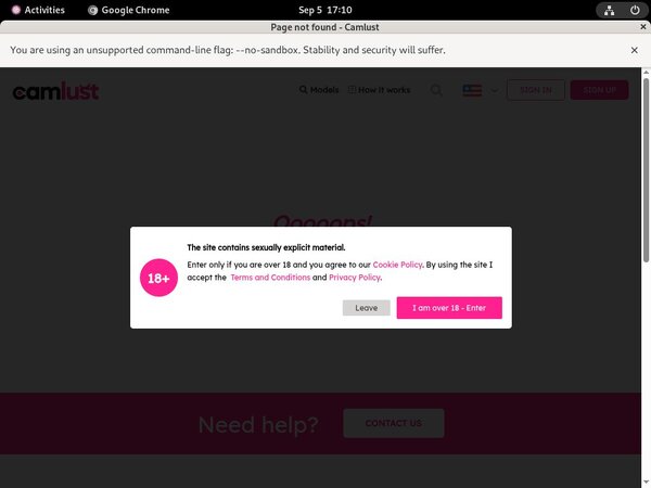 Camlust.com Free Logins