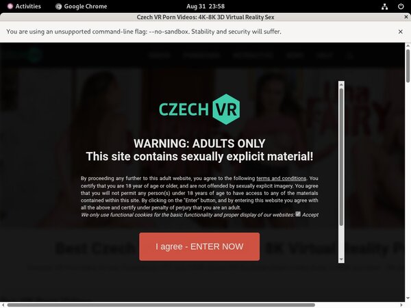 Czech VR Pay