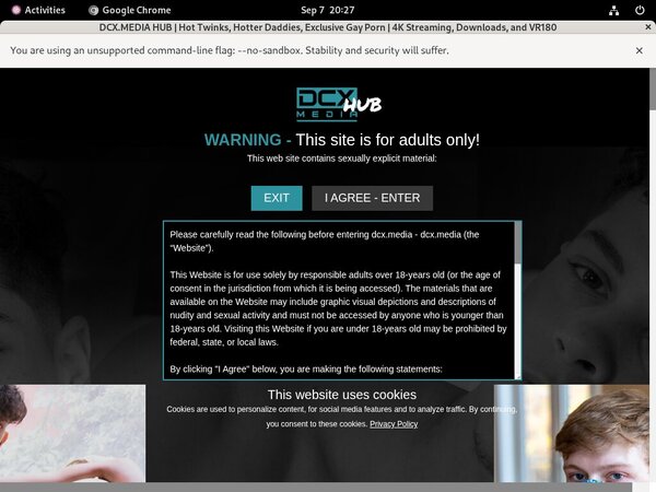 Dcx.media Porn Hub