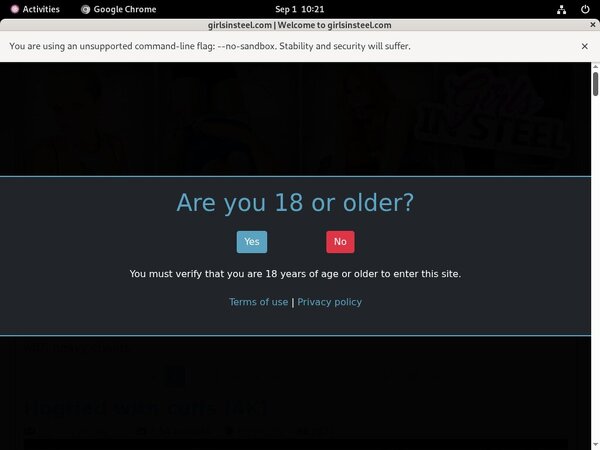 Free Accounts On Girls In Steel