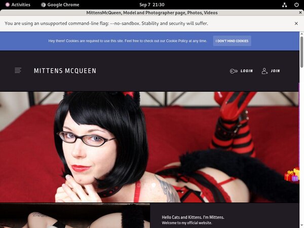 Free Login For Mittensmcqueen.com