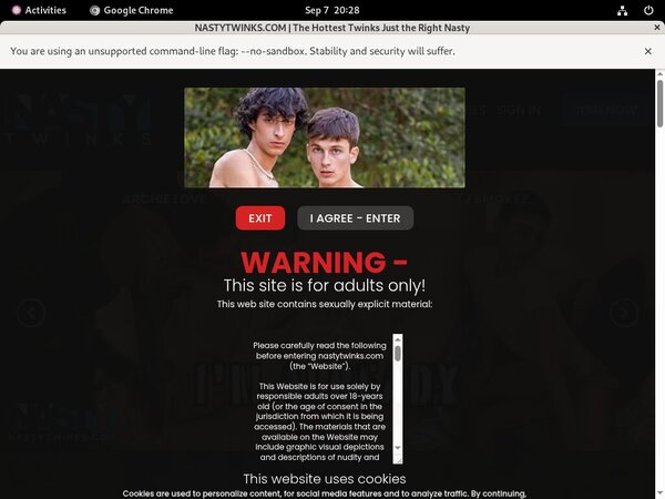 Free Nastytwinks Logins