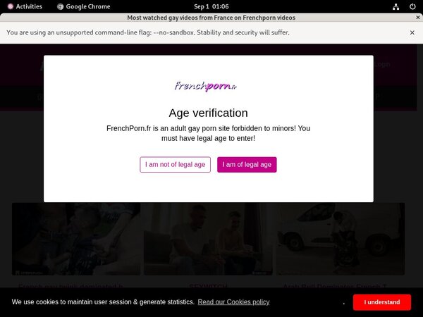 French Porn Gay Join Anonymously