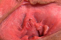 Fresh Gapemypussy Site Rip s5