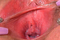 Gapemypussy.com ??? s2