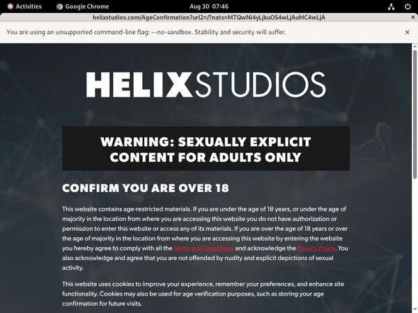 Gay Helixstudios.net