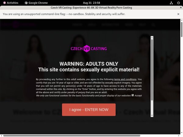 Get A Free Czechvrcasting.com Membership