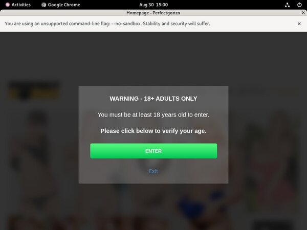 Get Perfectgonzo Password