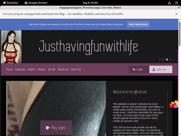 Happygoluckypyro Logon