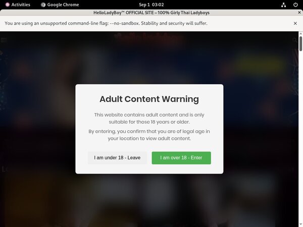 Helloladyboy.com Credits