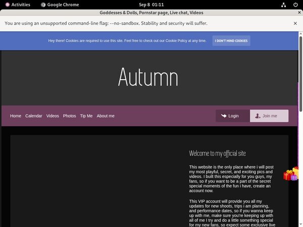 How To Get Payperdolls.modelcentro.com Account