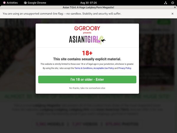 Ladyboy Ladyboy Websites