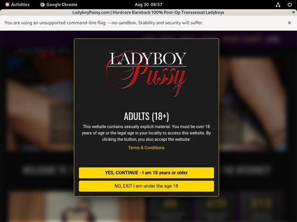 Ladyboy Pussy Webcam