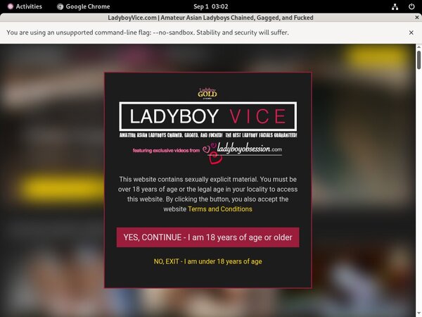 Ladyboy Vice Yearly Membership