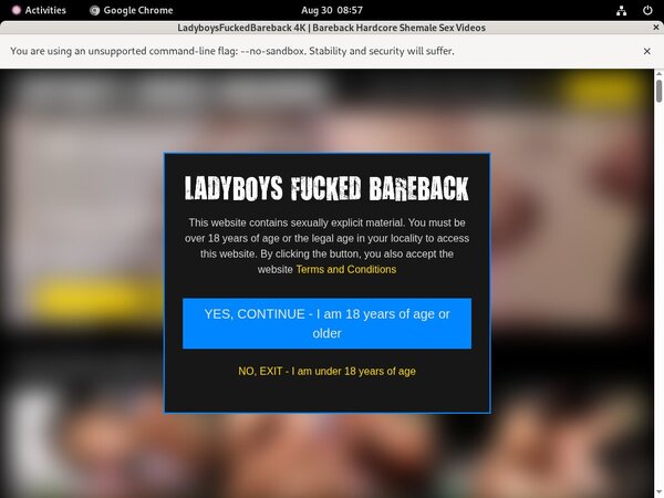 Ladyboys Fucked Bareback Members