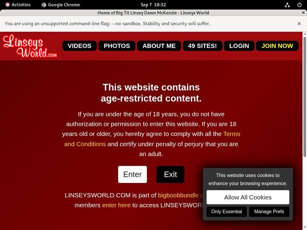 Linseysworld.com Billing Page