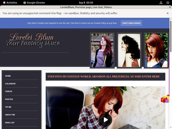 LoreleiBlum Log In LoreleiBlum Log In