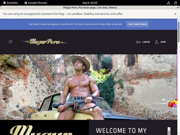 Mugur Porn Register