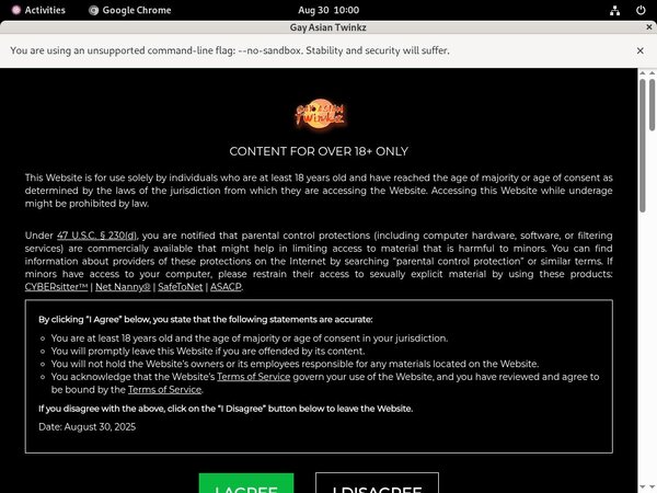 New Gayasiantwinkz Porn