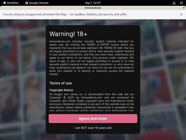 Porn Pass Kimswallows