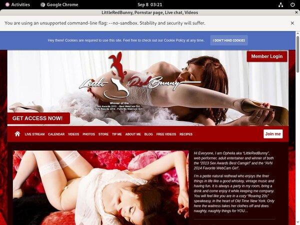 Premium Account LittleRedBunny