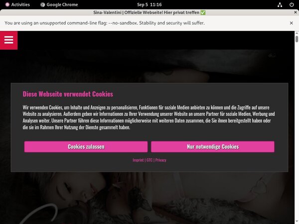 Premium Sina Valentini Passwords