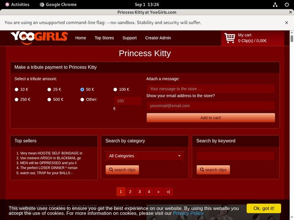 Princess Kitty Premium Password