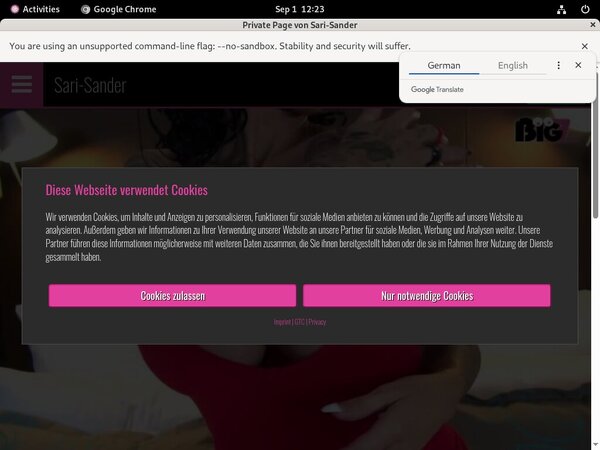 Sari Sander Cheap Deal