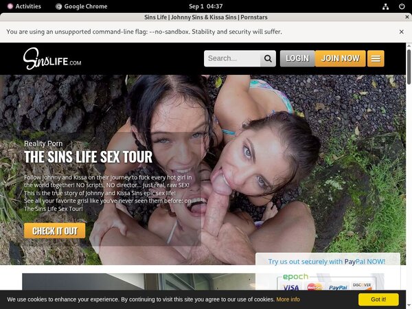 Sinslife.com Webcams