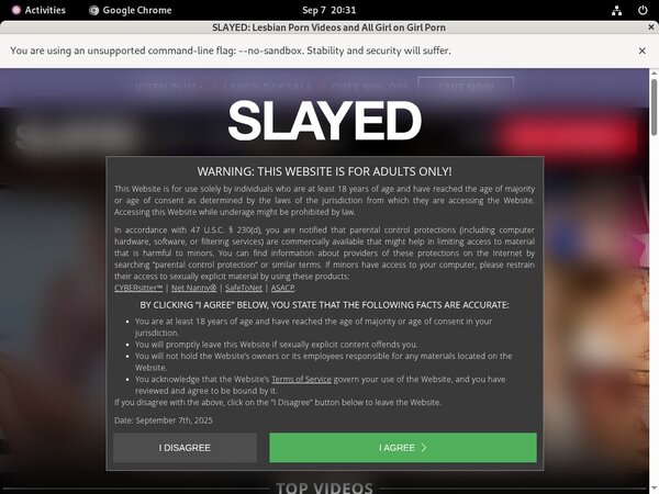 Slayed Site-rip