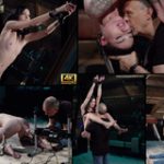 Subspaceland Free Users