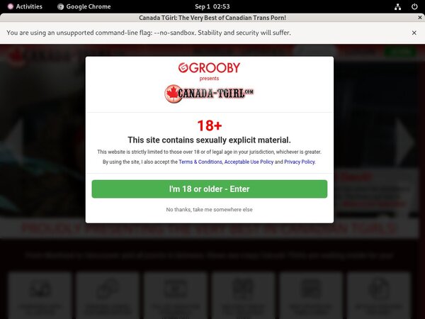 TGirl Canada Discount Offer