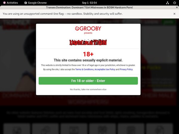 Transexdomination.com Member Passwords