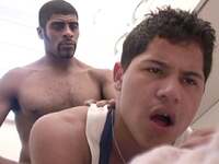 Universblack.com Accounts Daily s2