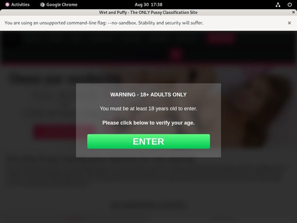 Wet And Puffy Payment Page