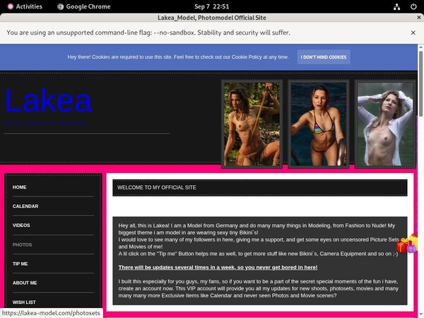 Who Is Lakea_Model