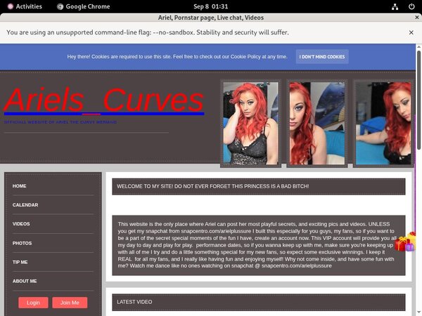 Working Ariel Password