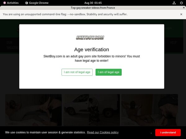 Free Trial Sketboy.com Login Free Trial Sketboy.com Login